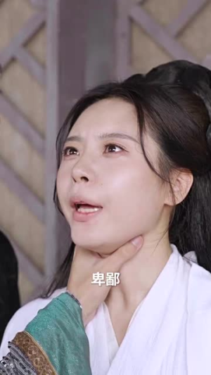 失明王妃杀心归来(80集) 失明王妃杀心归来(80集)超好看短剧推荐