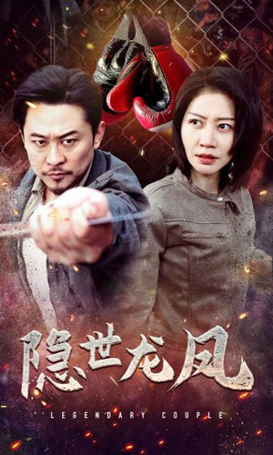 隐世龙凤（63集）最后的大结局