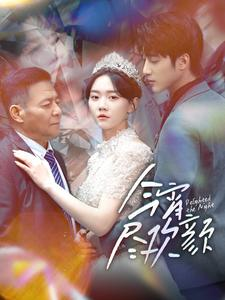 今宵尽欢颜（99集）河马免费短剧