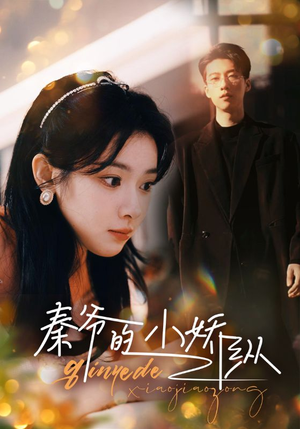 秦爷的小娇纵(96集) 秦爷的小娇纵(96集)免费短剧资源