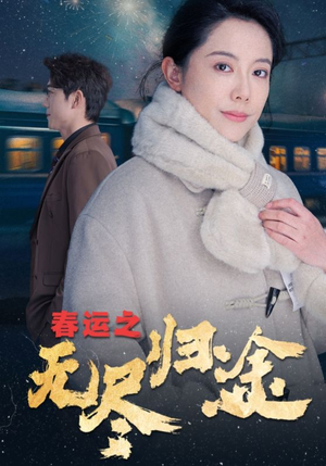 春运之无尽归途（49集）精彩连连免费看