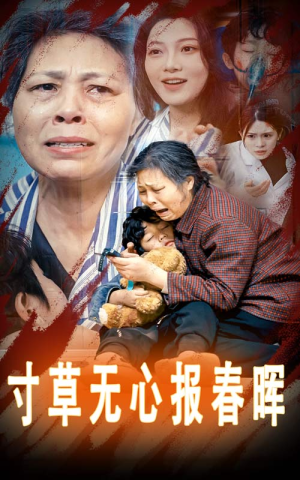 孝子慈孙（31集）热门短剧看不停