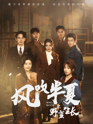 风吹半夏之野蛮生长（59集）最新短剧推荐