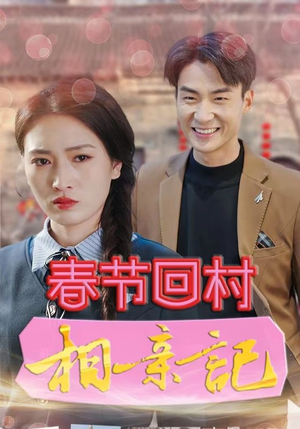 春节回村相亲记（30集）观看软件
