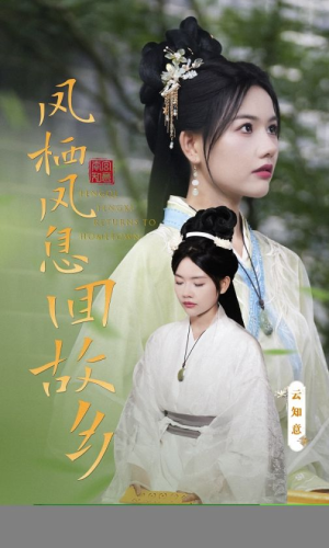 凤栖凤息回故乡（36集）分享好看的短剧