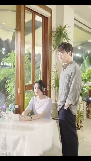 冲破婚姻的风暴（29集）网络小短剧