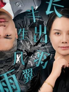 半生风雨长出羽翼（37集）第二季