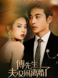 傅先生夫人又闹离婚了（80集）最新热剧免费看