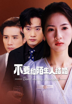 不要和陌生人结婚（90集）第32集