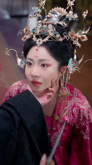 宫锁南枝(31集) 宫锁南枝(31集)最后的大结局