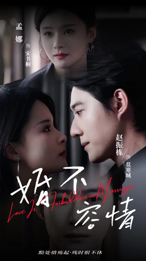 婚不容情（89集）短剧热播抢先看