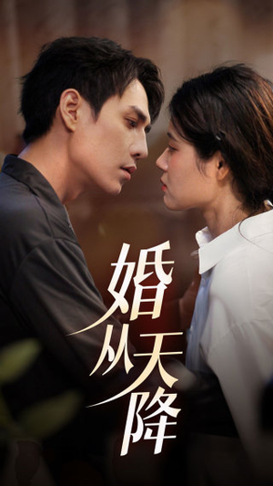 婚从天降（92集）最火短剧热播中