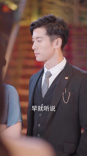 鹿总夫人又要和您摊牌了（100集）全集一网打尽