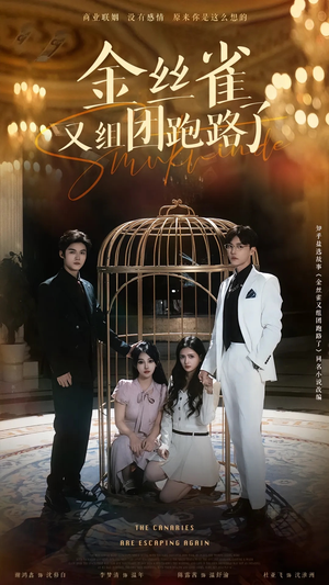 金丝雀又组团跑路了（长篇）哪个网站可以看