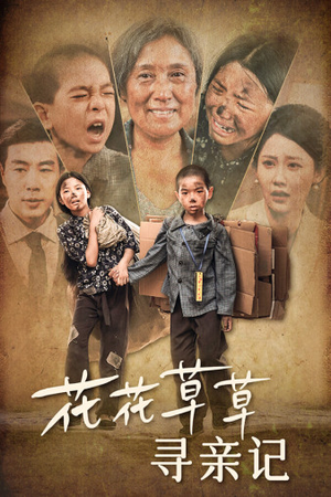 花花草草寻亲记(42集) 花花草草寻亲记(42集)短剧排行榜