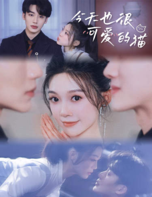 今天也很可爱的猫(72集) 今天也很可爱的猫(72集)哪个短剧网能看