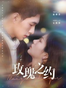 玫瑰之约(95集) 玫瑰之约(95集)评价怎么样