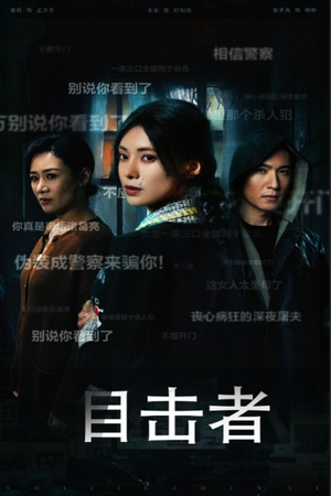 目击者&深夜伪装(30集) 目击者&深夜伪装(30集)看到了大结局