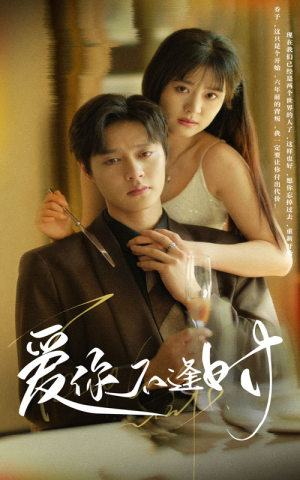 爱你不逢时（91集）观看软件