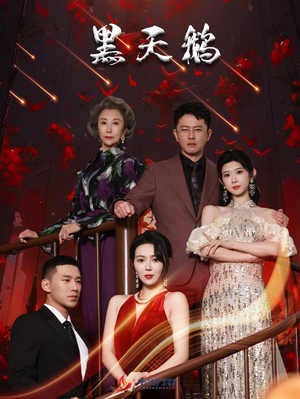 黑天鹅（51集）免费观看就是爽