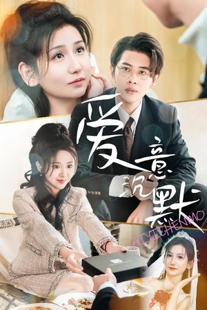 爱意沉默（29集）第二季