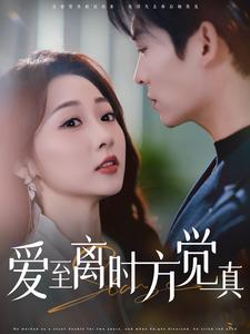 爱至离时方觉真（101集）短剧追不停