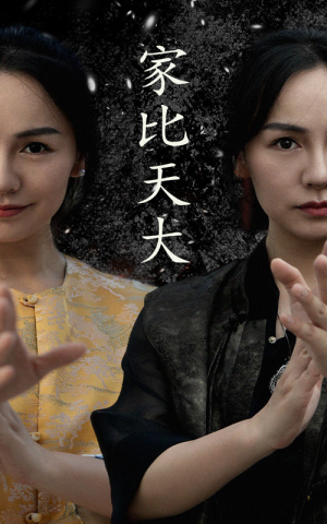 家比天大（63集）最新热剧免费看