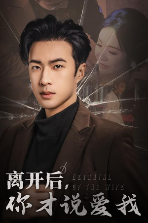 离开后，你才说爱我（30集）夸克在线观看