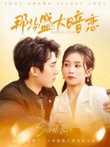 那场盛大暗恋（107集）免费版