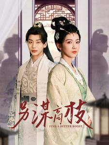 另谋高枝（100集）热门爆款短剧