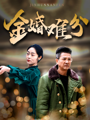 金婚难分（40集）全集完整版
