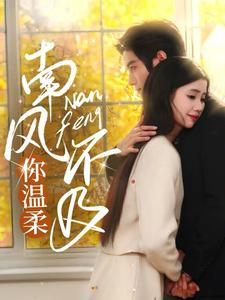 南风不及你温柔（74集）最新火爆短剧