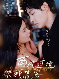 南风国境你我皆客（80集）短剧在线看