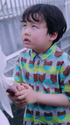 南书知我意（80集）爆款短剧追不停