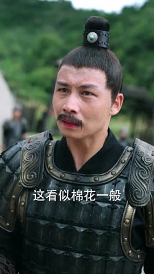 桃花马上请长缨(91集) 桃花马上请长缨(91集)短剧全集大结局