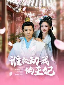 谁敢动我的王妃（62集）精彩短剧热播