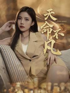 天命不凡（28集）一口气看完全集