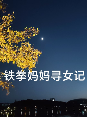 铁拳妈妈寻女记（69集）超甜短剧分享