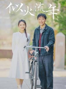 似火流年（100集）每日分享短剧