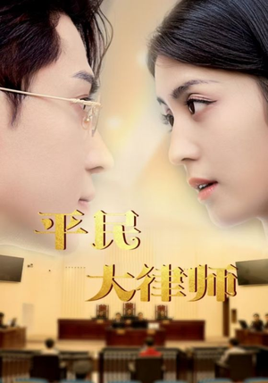 平民大律师（95集）最新热剧免费看