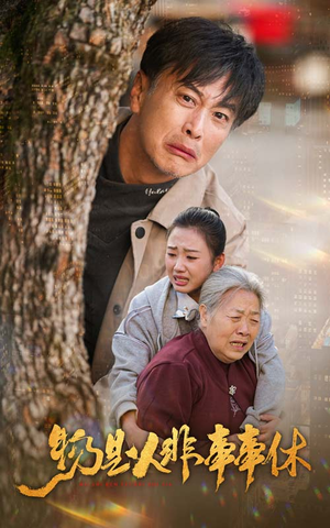 物是人非事事休(41集) 物是人非事事休(41集)剧好看短剧推荐