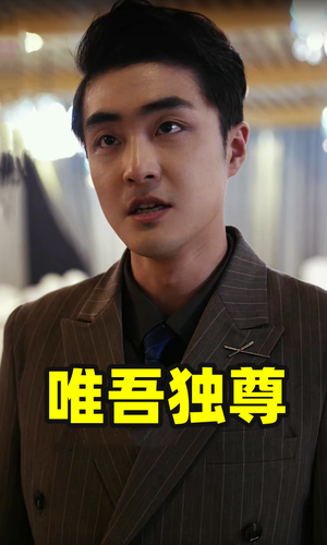 唯吾独尊(96集) 唯吾独尊(96集)真的太精彩了