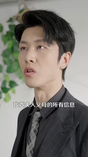 倾城之恋（100集）全集下载