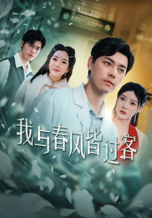 我与春风皆过客（35集）短剧解说全集