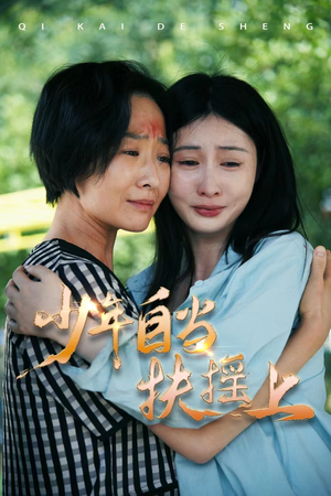 少年自当扶摇上（30集）网盘在线观看