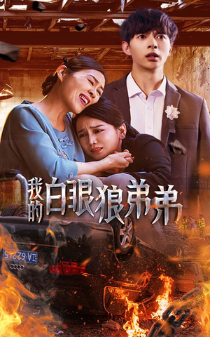 我的白眼狼弟弟(69集) 我的白眼狼弟弟(69集)贝贝短剧分享