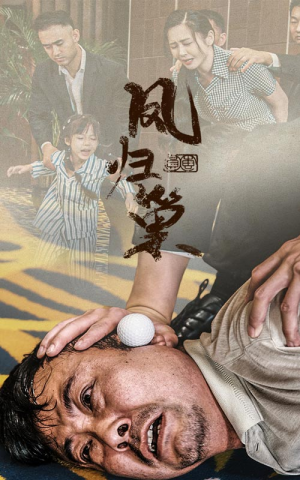 新版：凤归巢（68集）夸克网盘观看