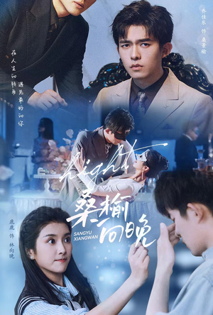 桑榆向晚（65集）短剧解说全集