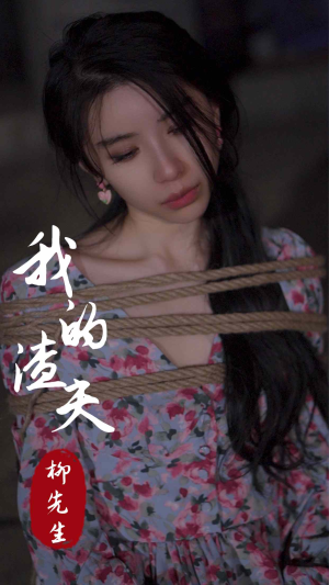 我的渣夫柳先生（80集）短剧在哪个平台