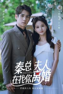 秦总，夫人在找你离婚（79集）短剧在线看